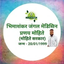 अस्सल आयुर्वेदिक औषधे